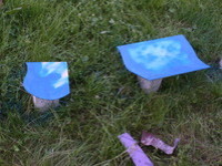 Blau besprühte Inselteile im Garten