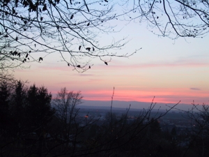 Sonnenuntergang betrachtet von der Eichhalde in Freiburg.