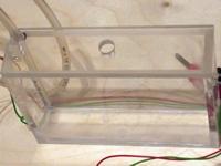Plexiglasaquarium