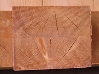 Balken zusammengeleimt.